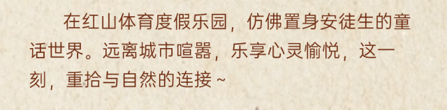 113614aekvssn7nvs6hbz7.png