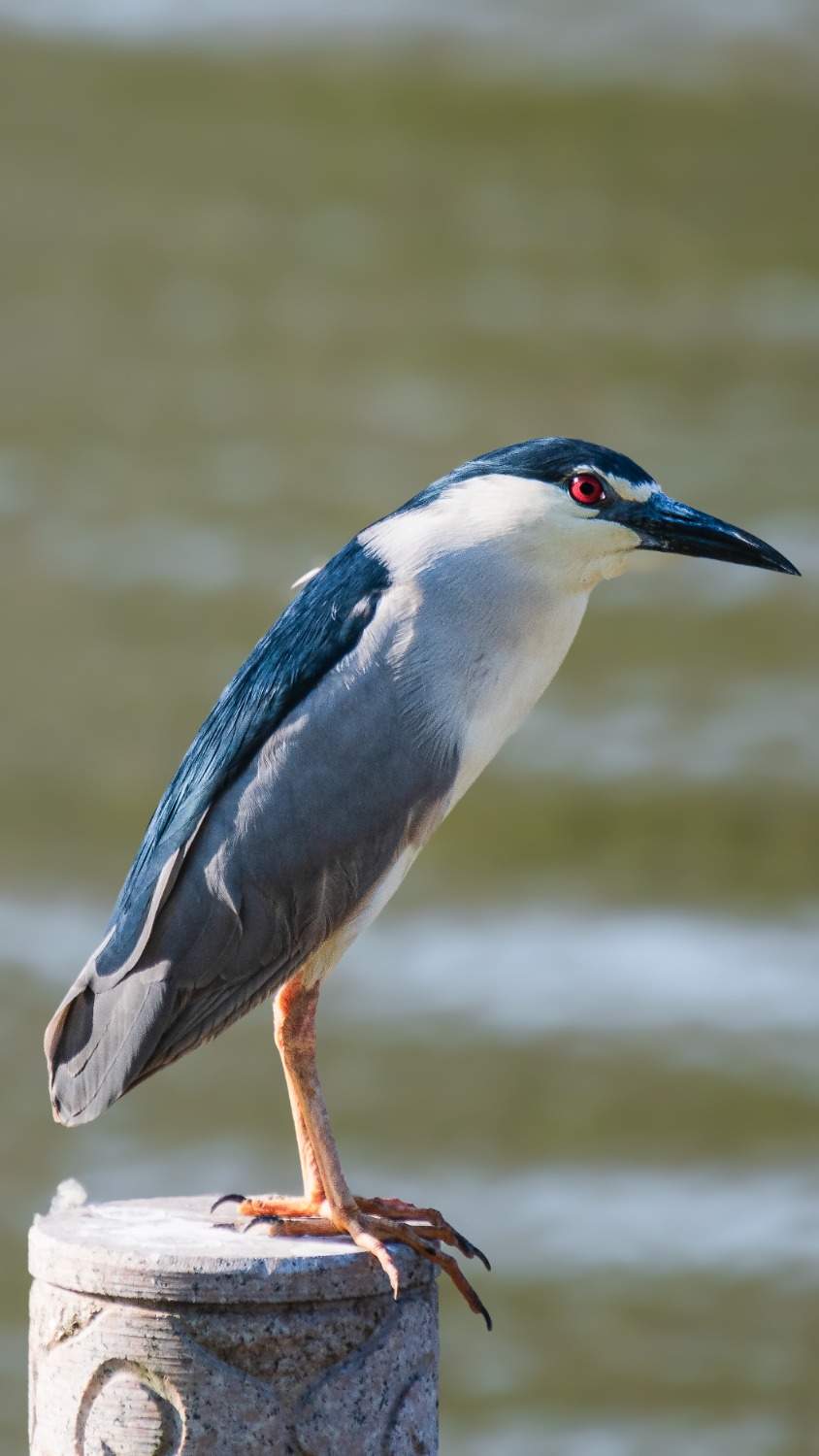 DSC_2235.jpg