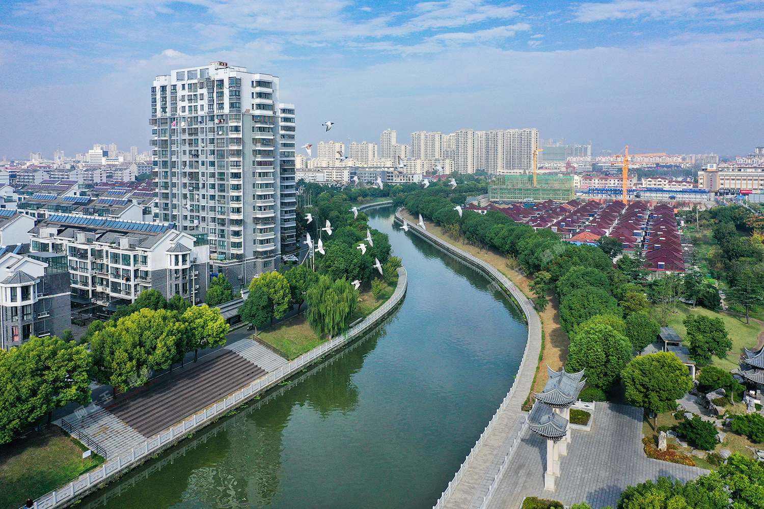 1、共建仪征幸福河摄影 生态宜居 李玉玲 13852164601.jpg