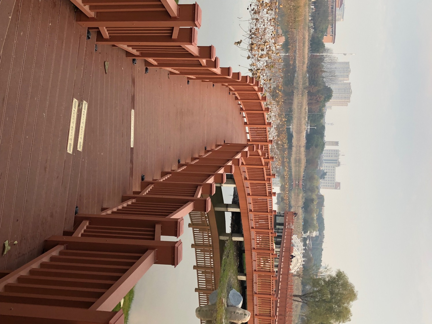 IMG_7286.jpeg