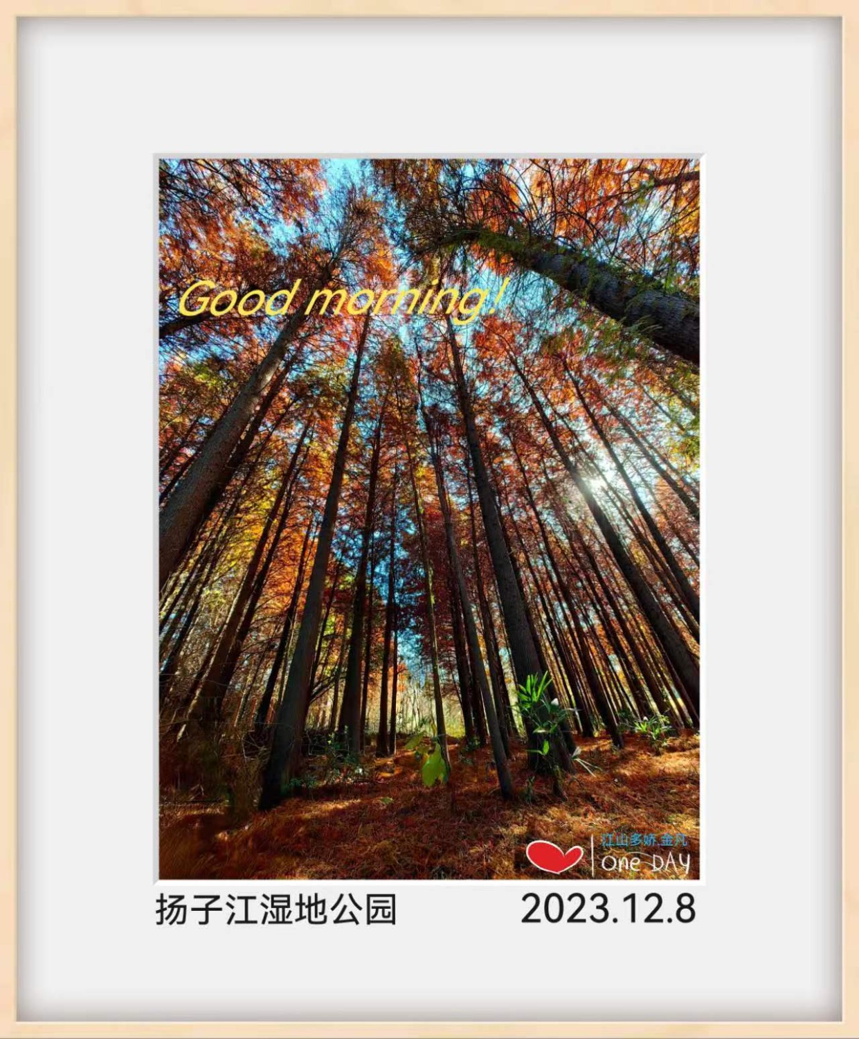 mmexport1702080953956.jpg