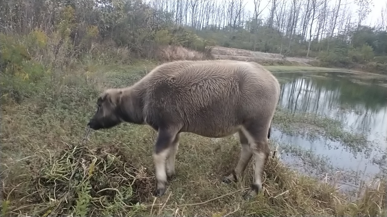 wx_camera_1699693018122.jpg