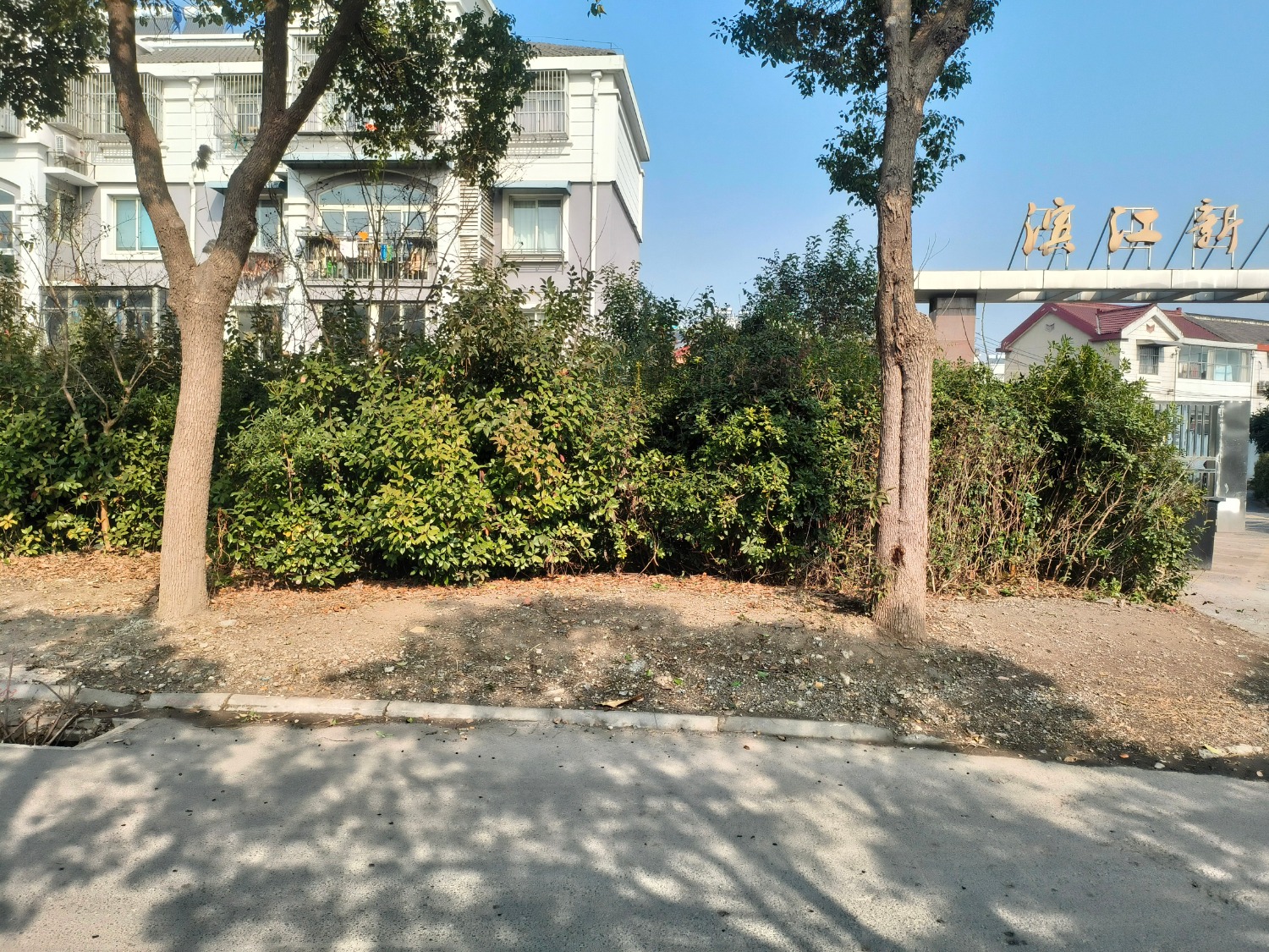 mmexport1704770819771.jpg
