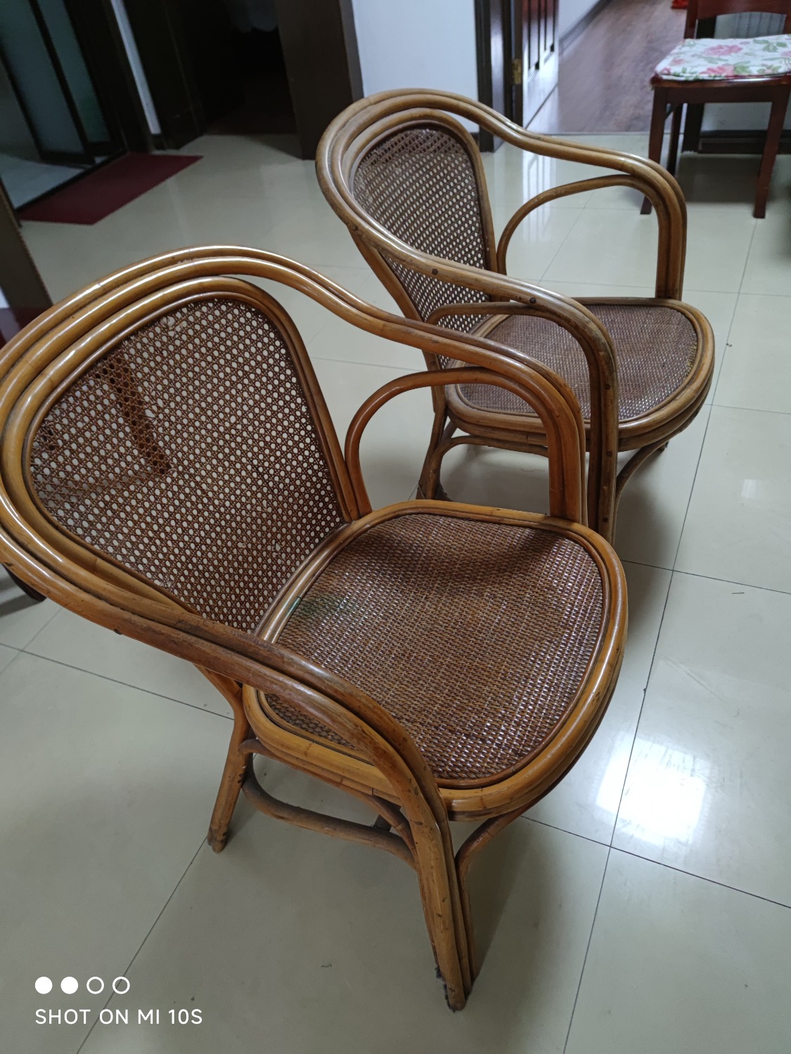 MVIMG_20240109_155042.jpg
