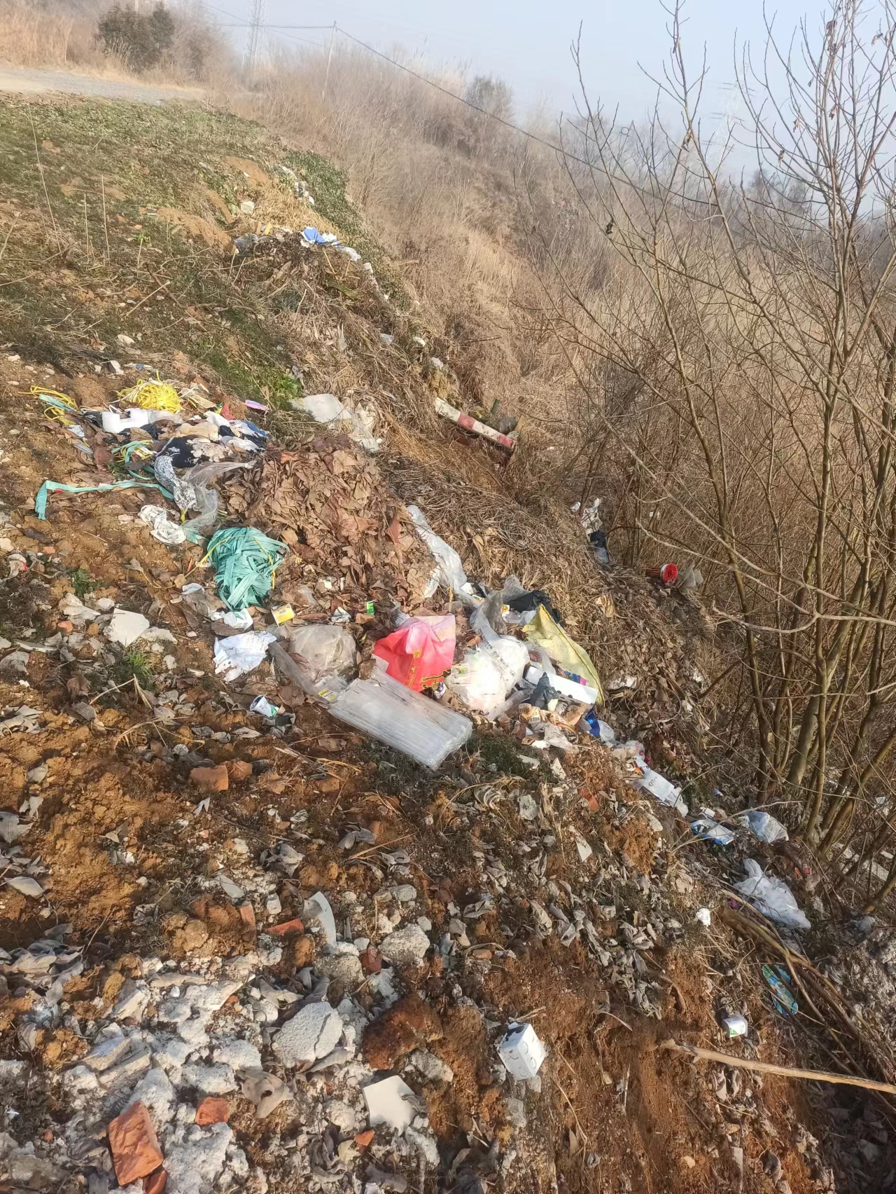 微信图片_20240116161624.jpg