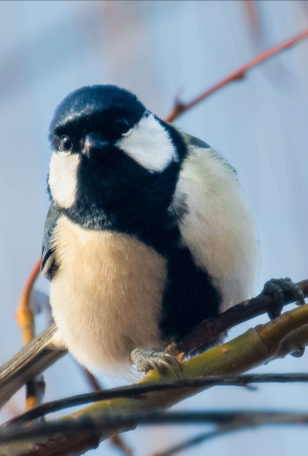 IMG_20240118_184952.jpg