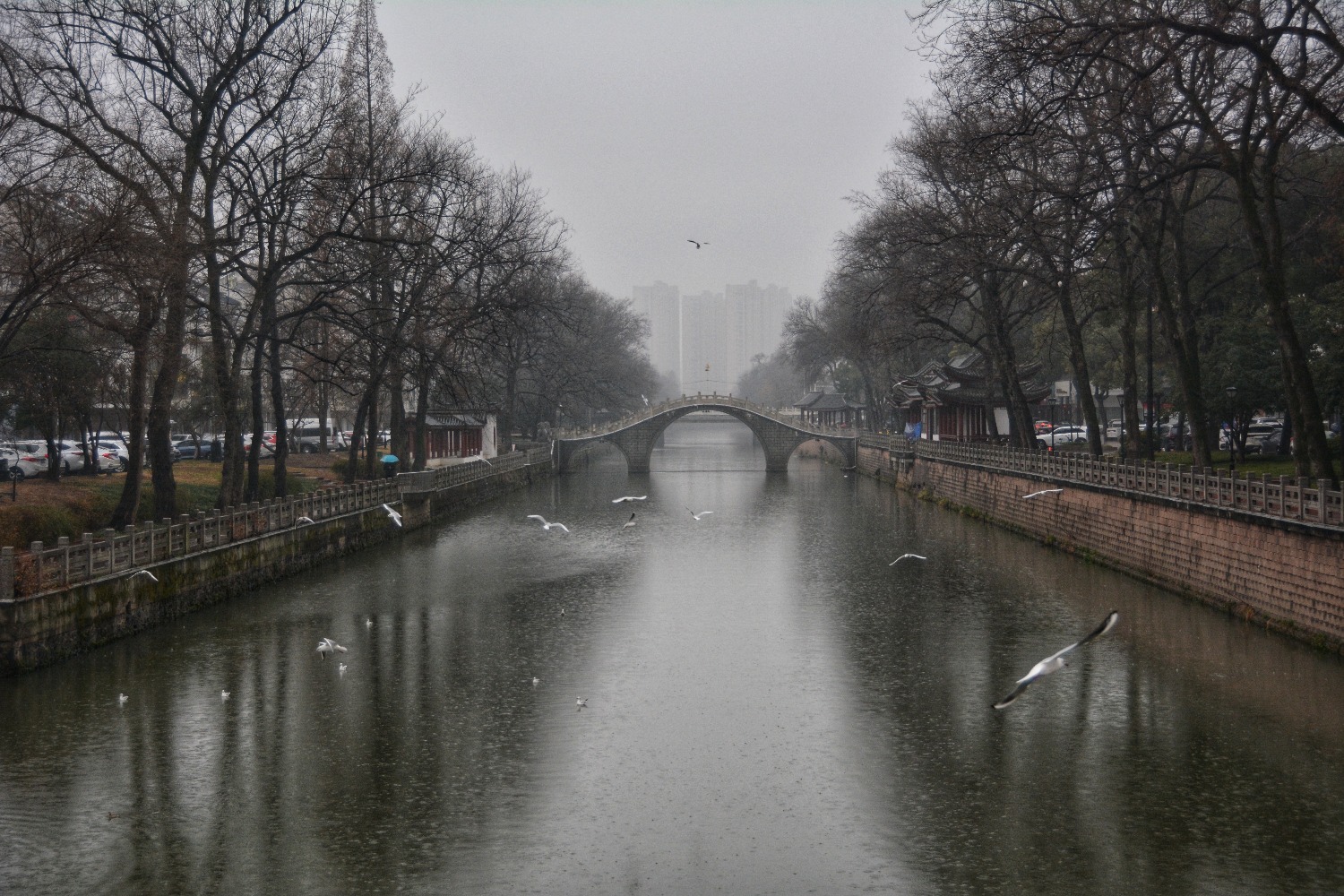 DSC_6738-01.jpeg
