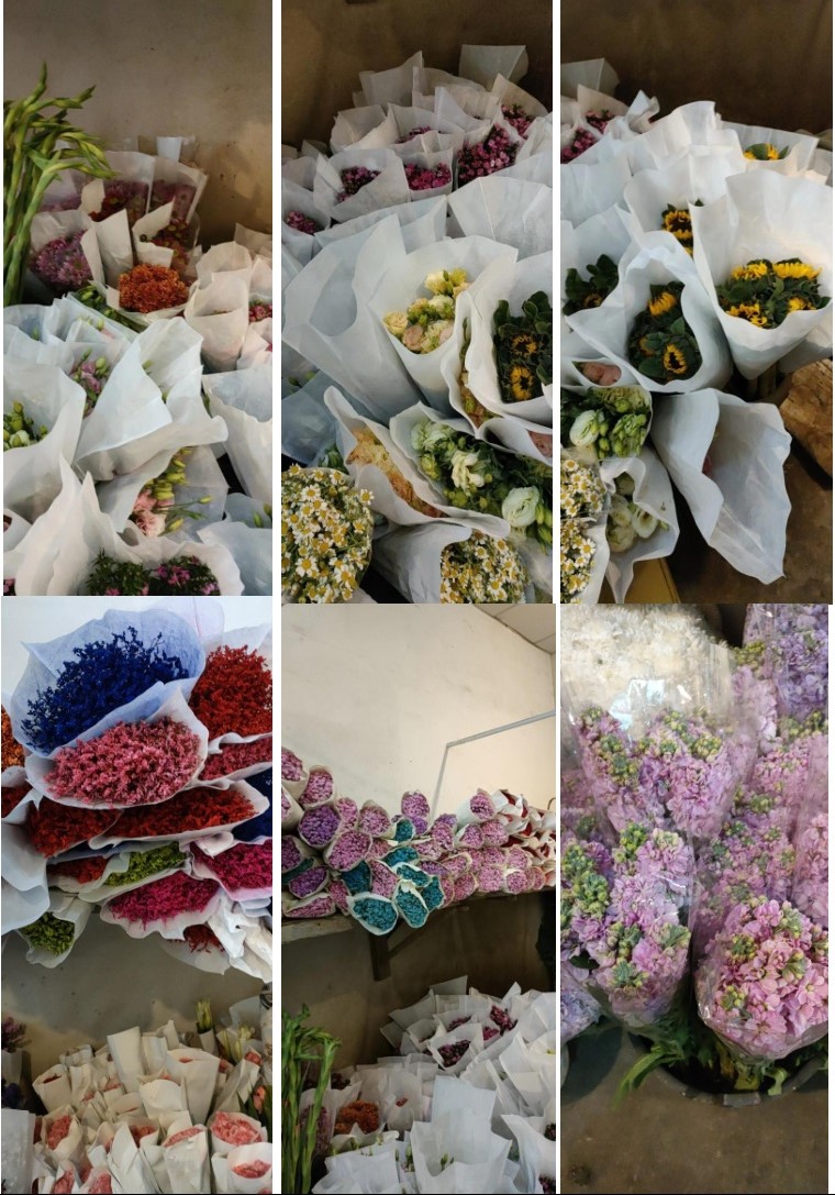 年宵花4
