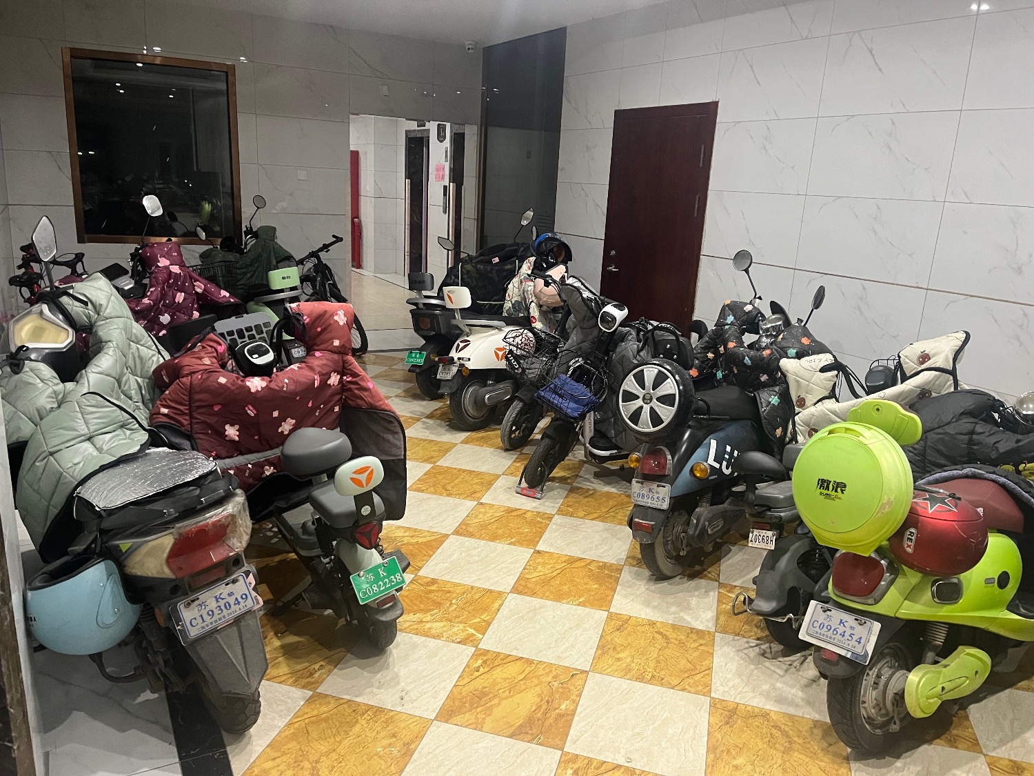 IMG_2655.jpeg