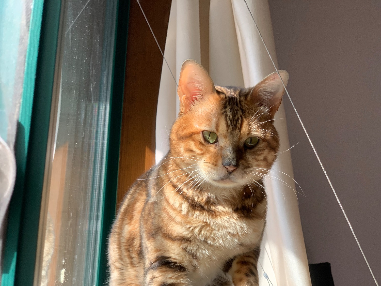 IMG_0080.jpeg