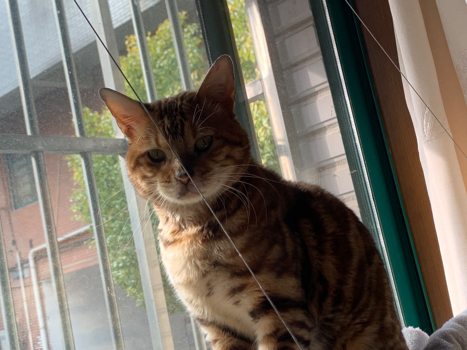 IMG_0077.jpeg