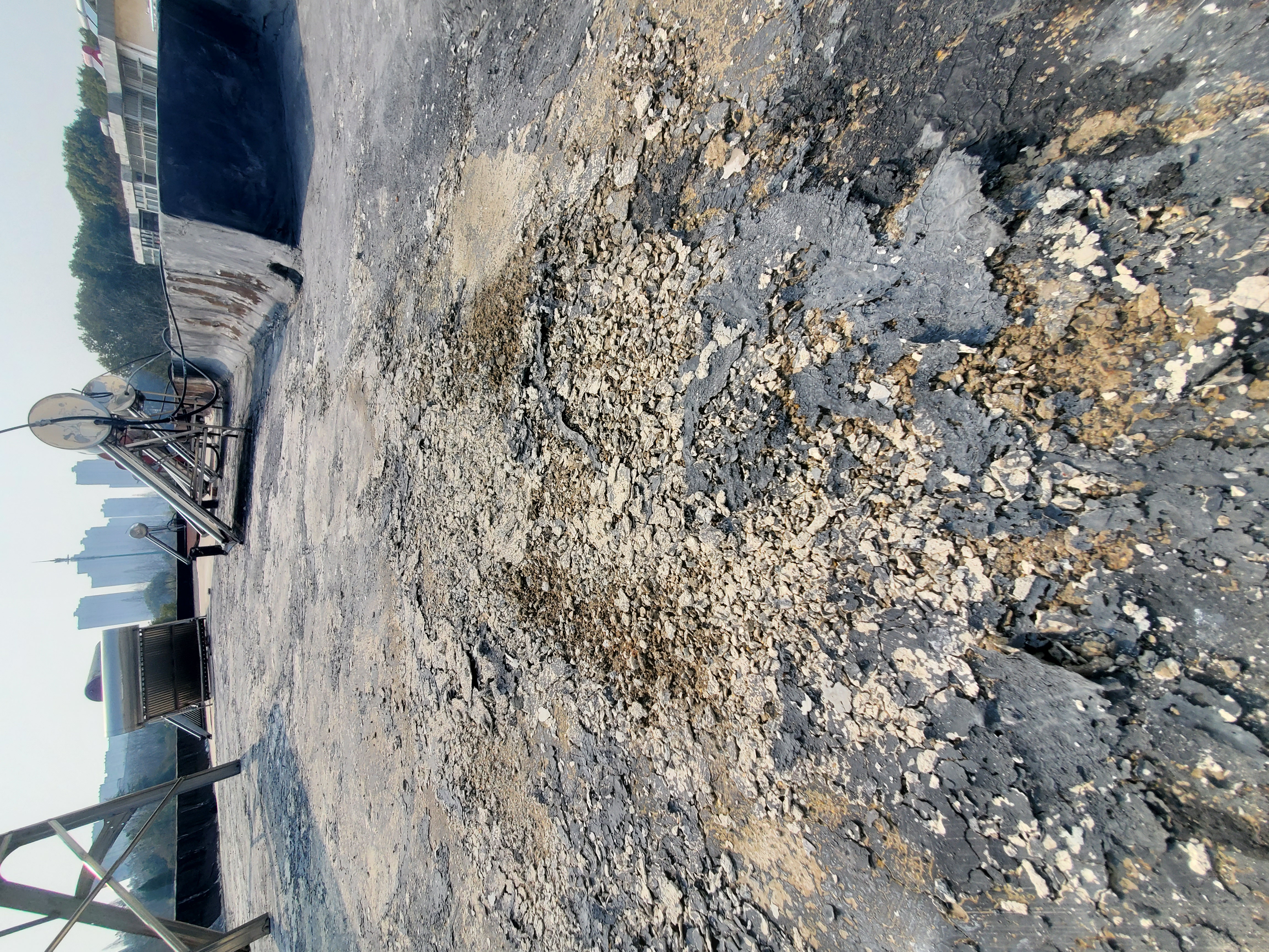 20240307_142220.jpg