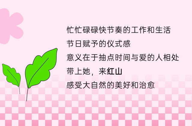 203726lgddwv8i2qkliwd4.gif