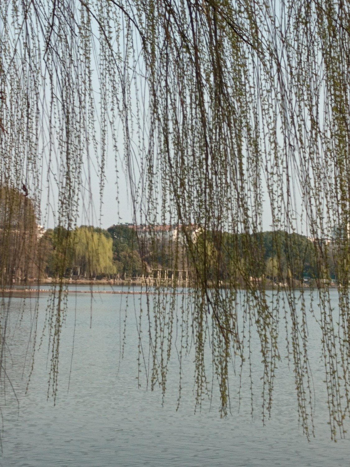IMG_20240312_163037.jpg