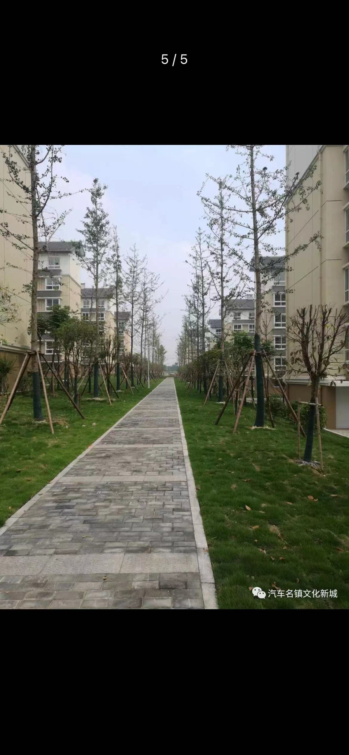 路道