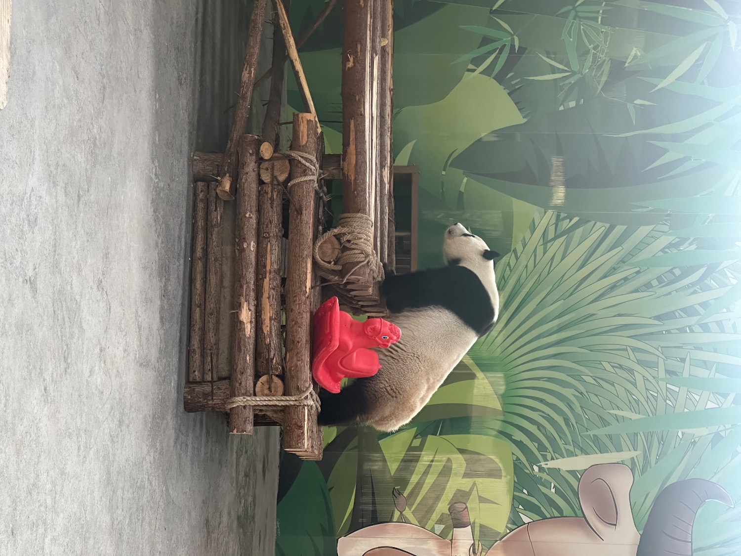 IMG_1412.jpeg