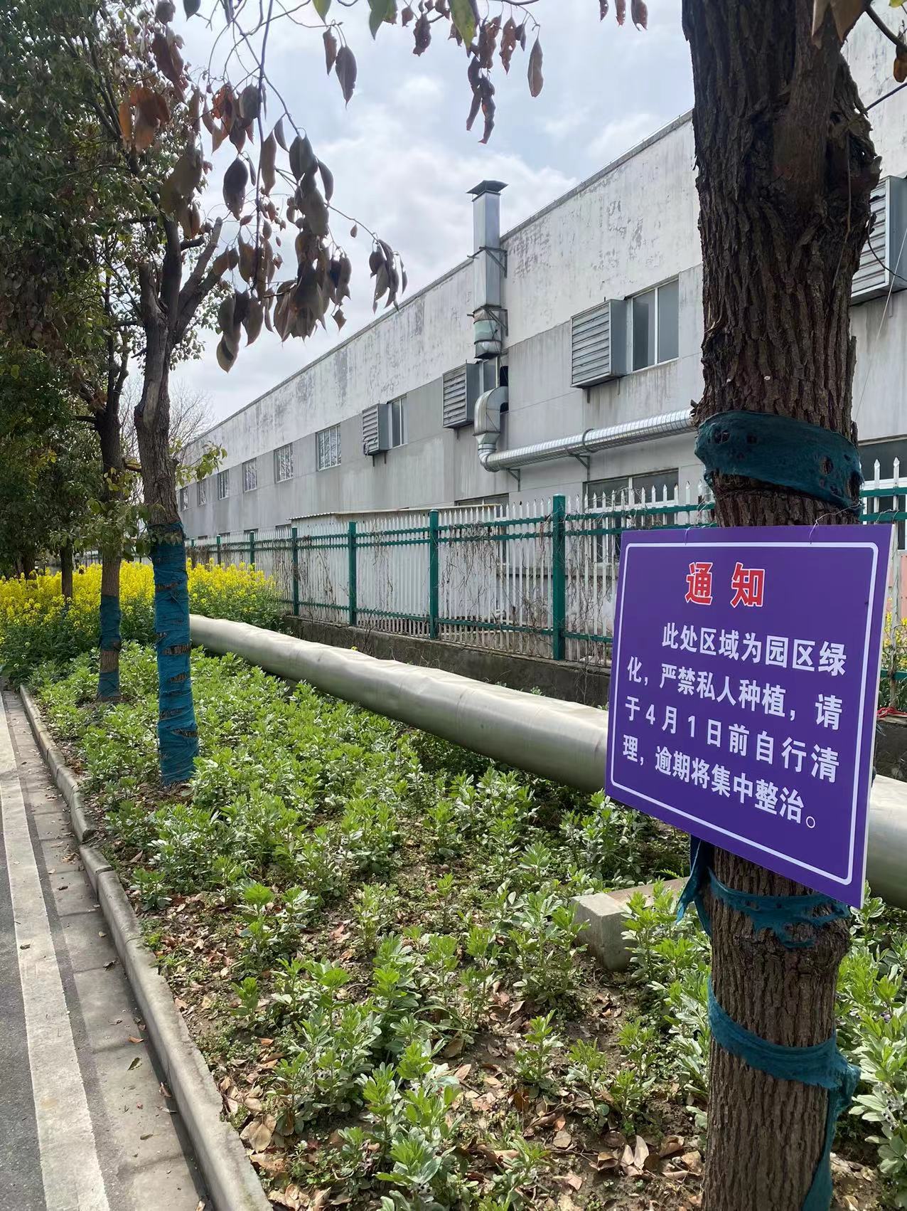 可惜啊