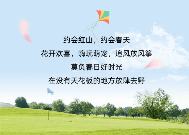 092456icb3blj5ckdwb2lz.gif