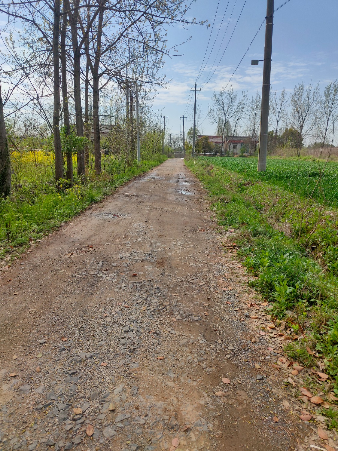 IMG20240404095217.jpg