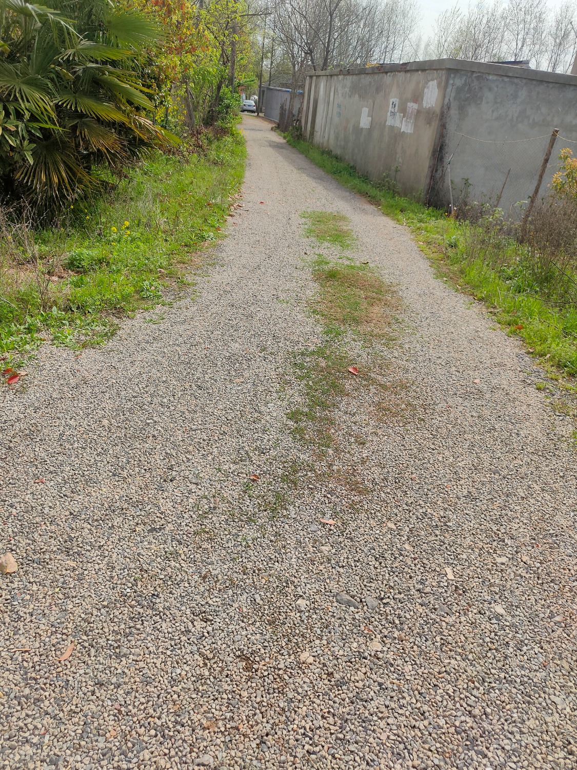 IMG20240404095321.jpg
