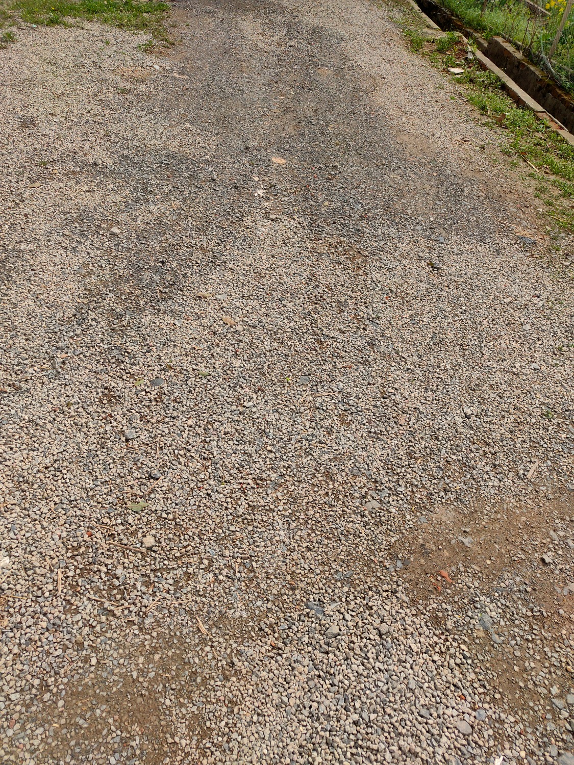 IMG20240404095410.jpg