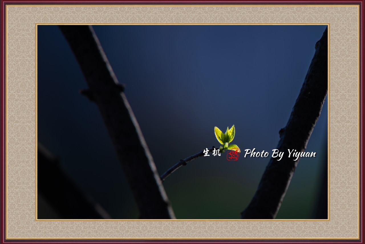 BC390C55-7976-45BB-9360-41D0A8E38911.jpeg