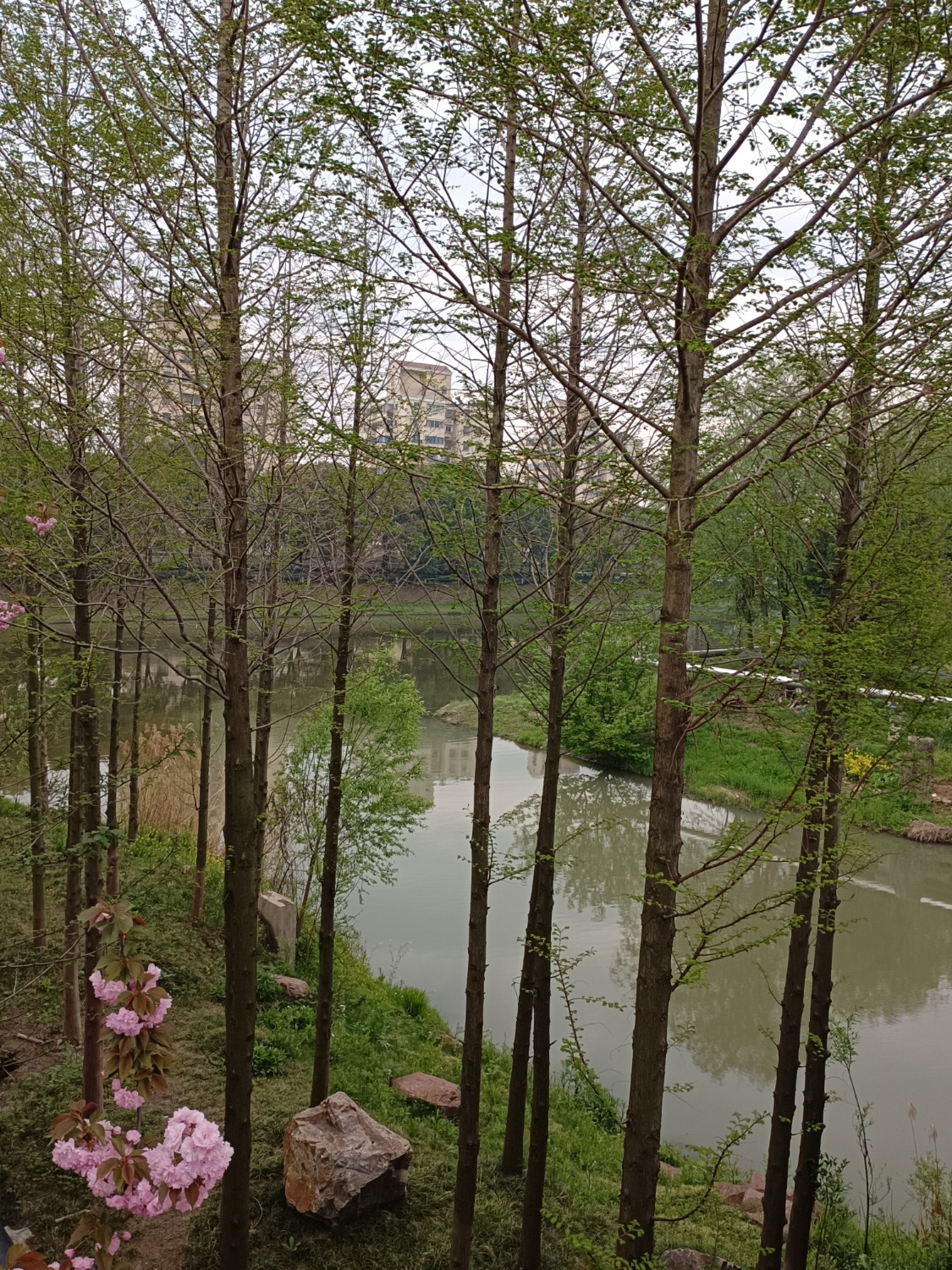 IMG_20240406_100727.jpg