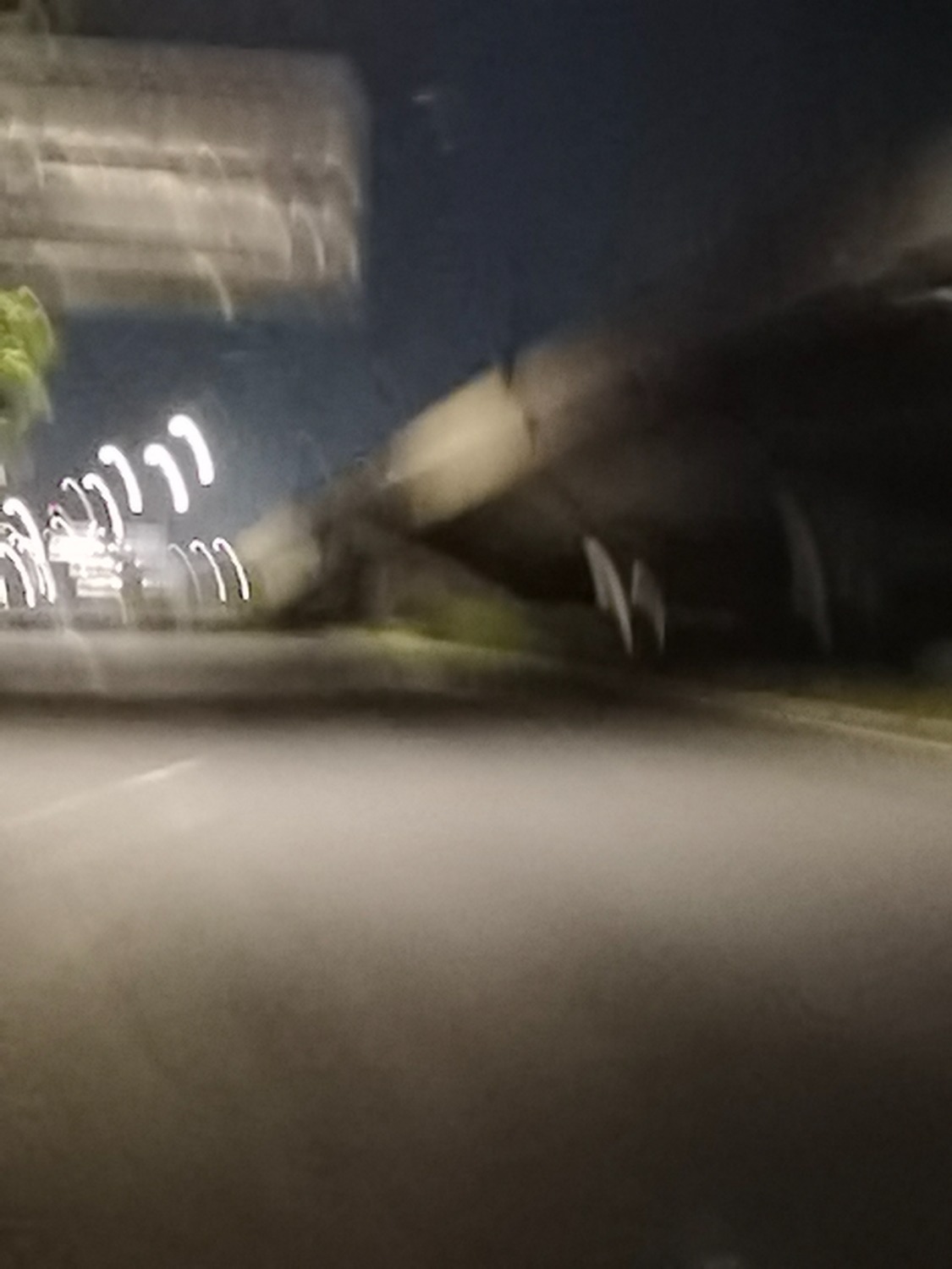 1712672706910.jpg
