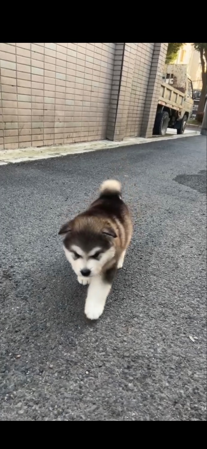 B6AA3D4C-1DCA-48DB-93DF-5959A32F1775.jpeg