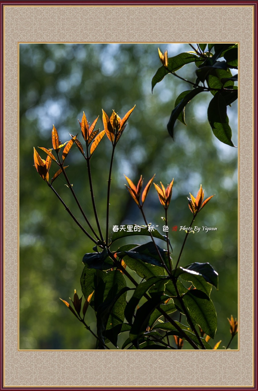 567D5C0C-400B-43E6-B6CC-4A6020C37312.jpeg