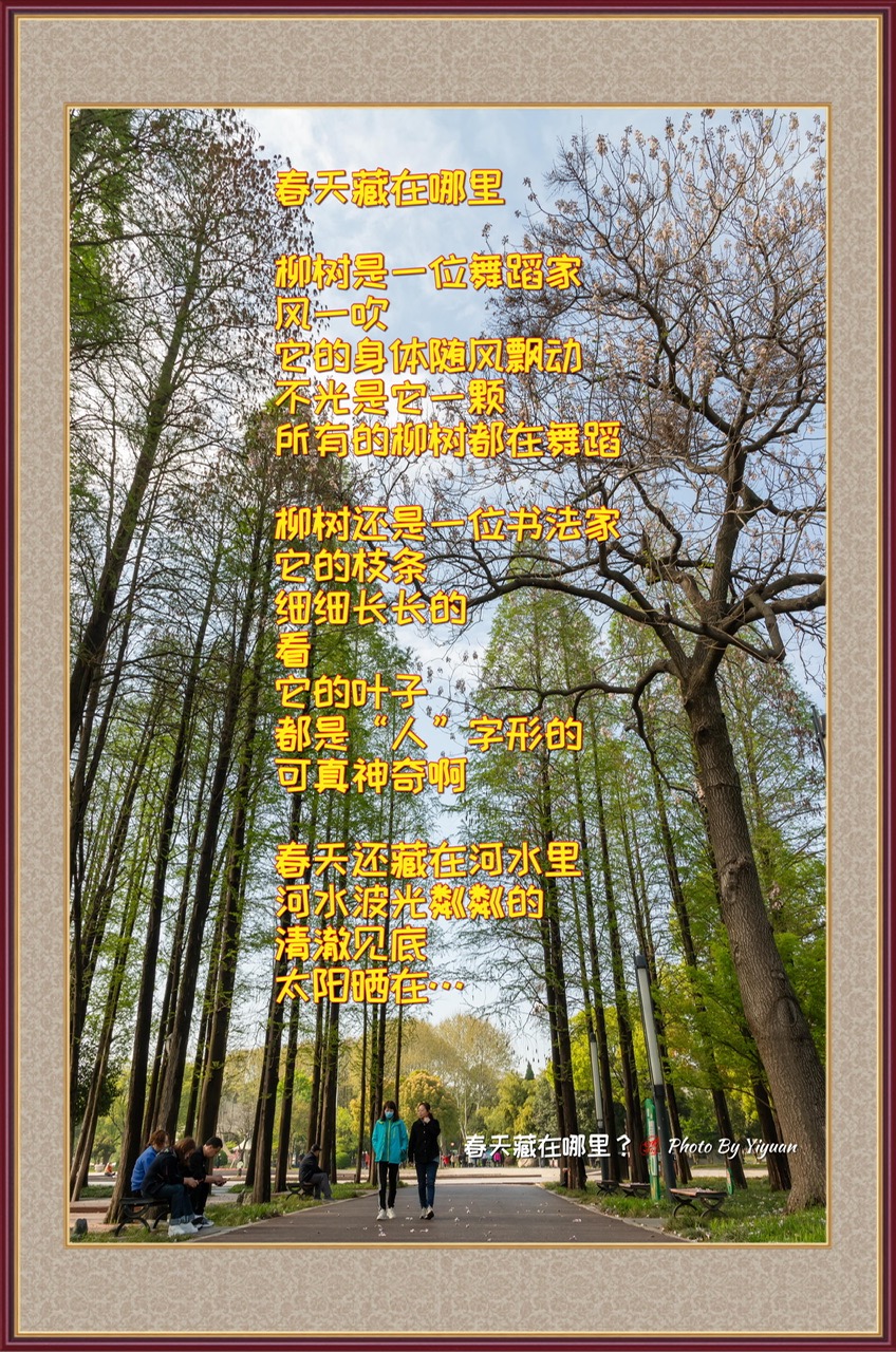 C3A7D8CD-78ED-4D3E-88F3-54839A351BDC.jpeg