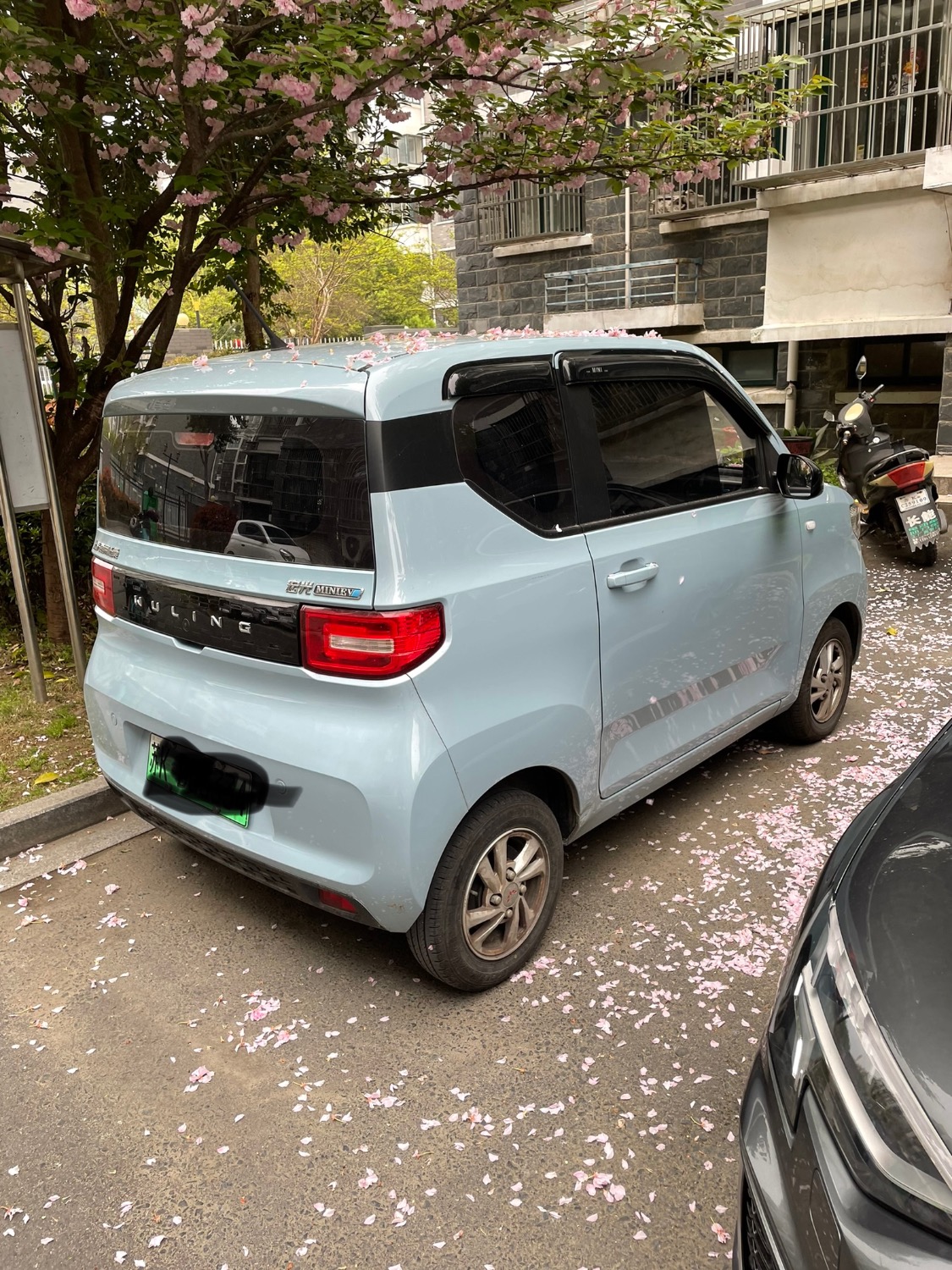 B1420318-C0D8-42ED-93C6-FB4FEA957B8E.jpeg