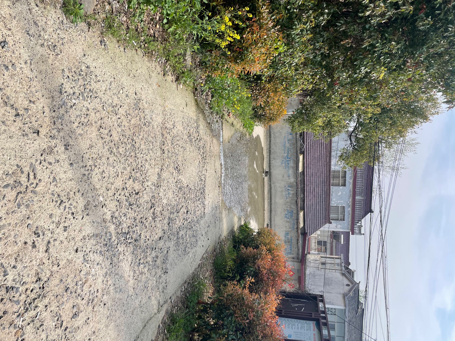 IMG_5217.jpeg