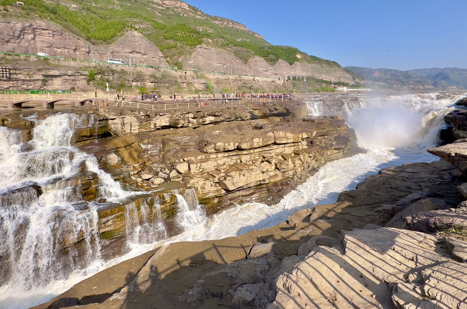 IMG_1807.jpeg
