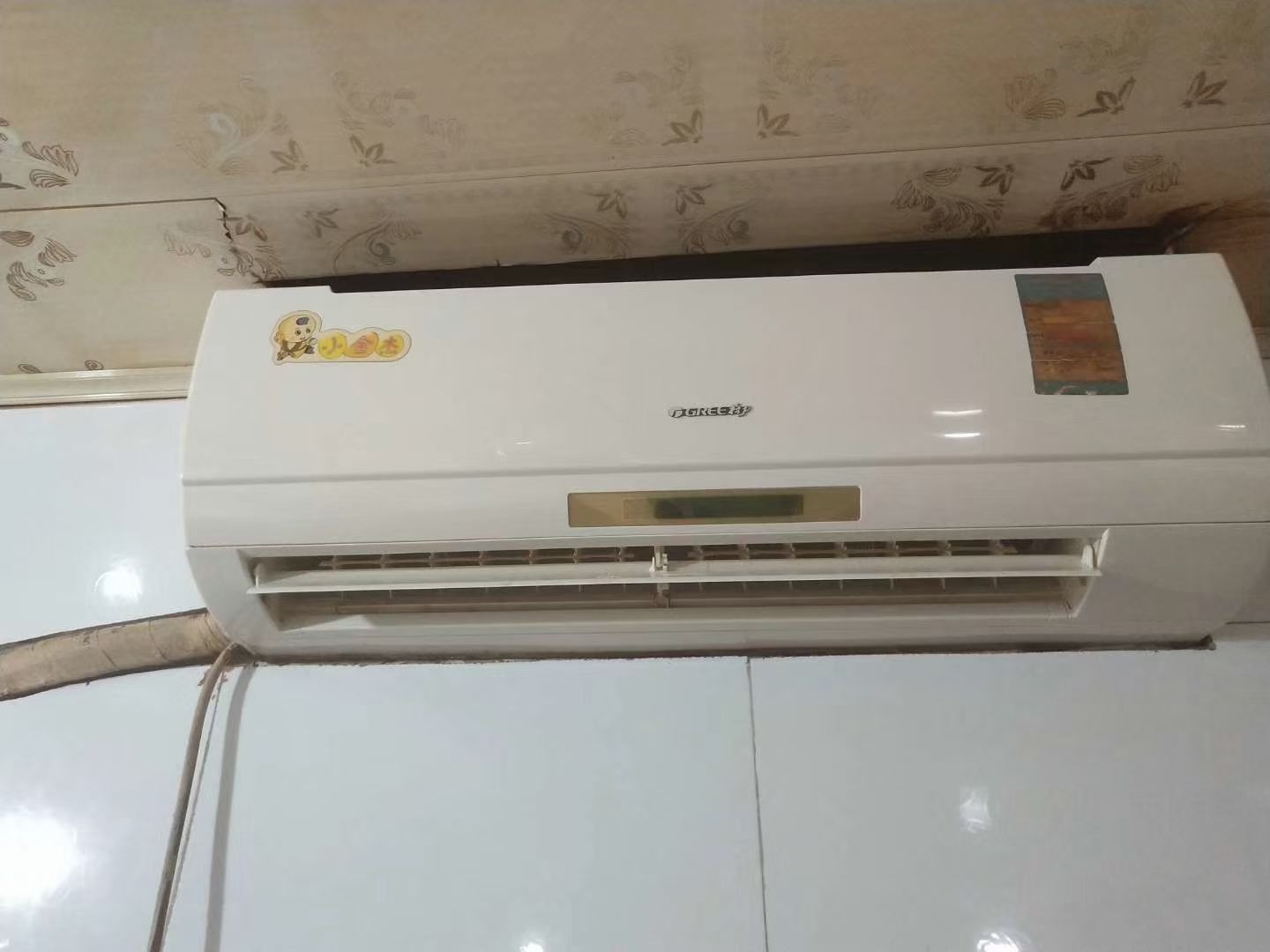 mmexport1713751512563.jpg