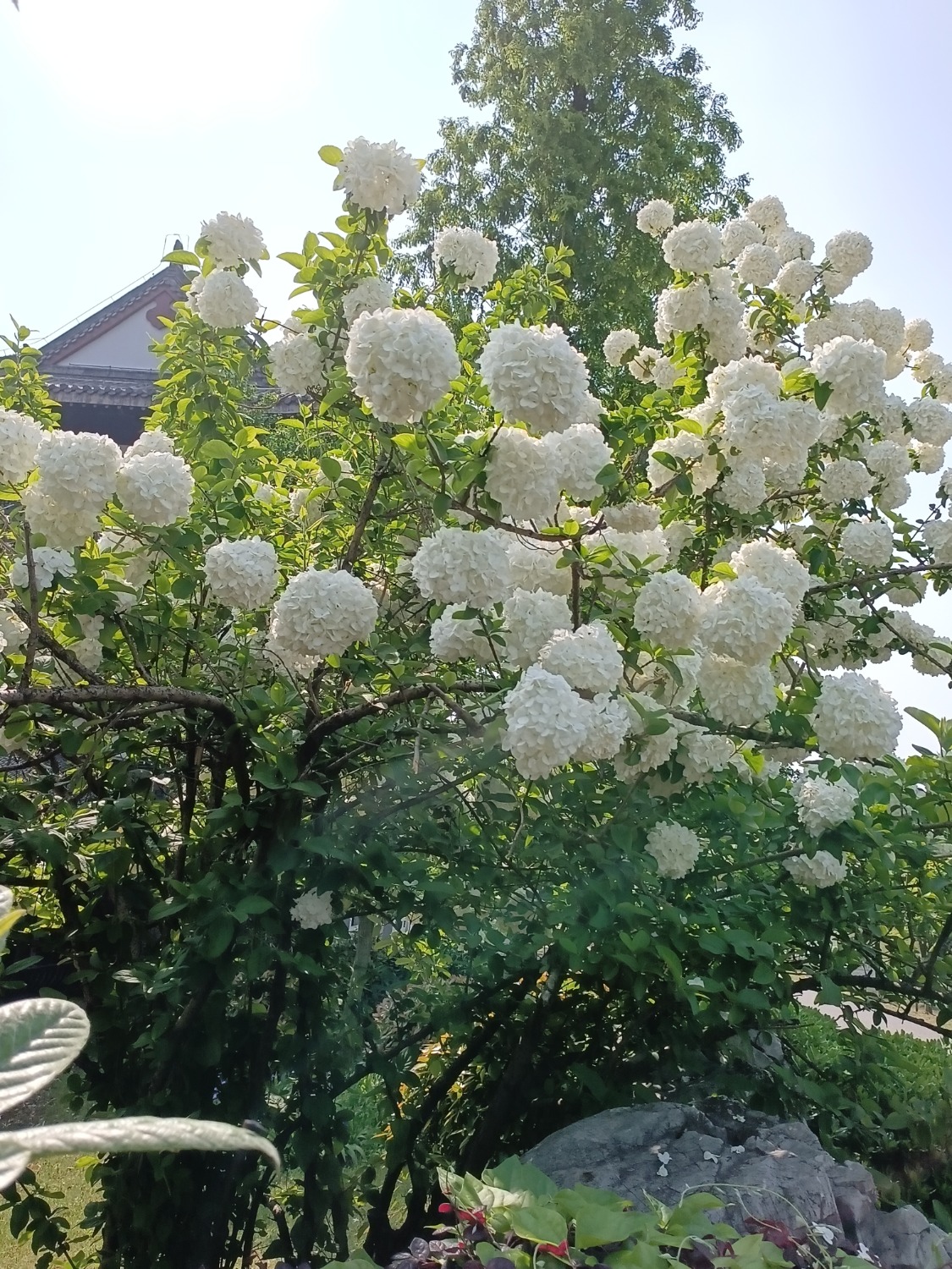 IMG_20240422_093022.jpg