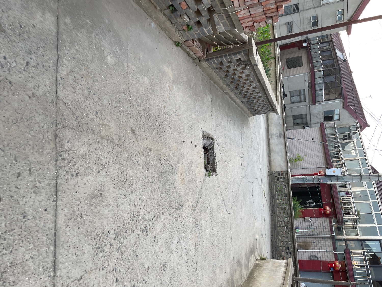 IMG_9524.jpeg