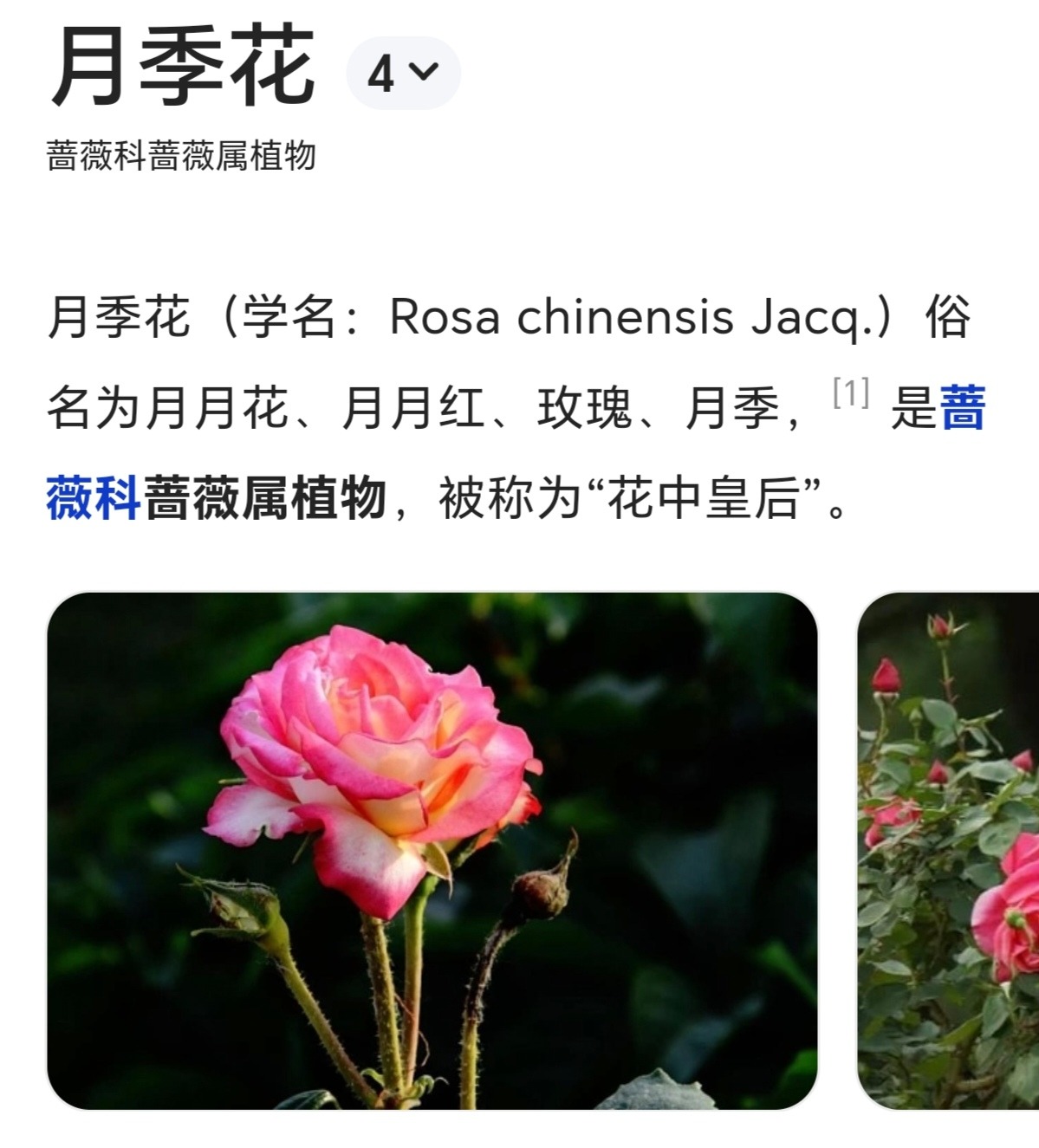 Screenshot_20240504_180742_com.tencent.mm_edit_426816088913483.jpg