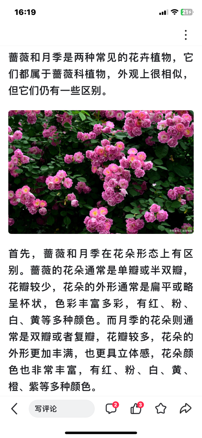 9AC5EE3D-FF70-4661-B41C-18675C01FC89.png