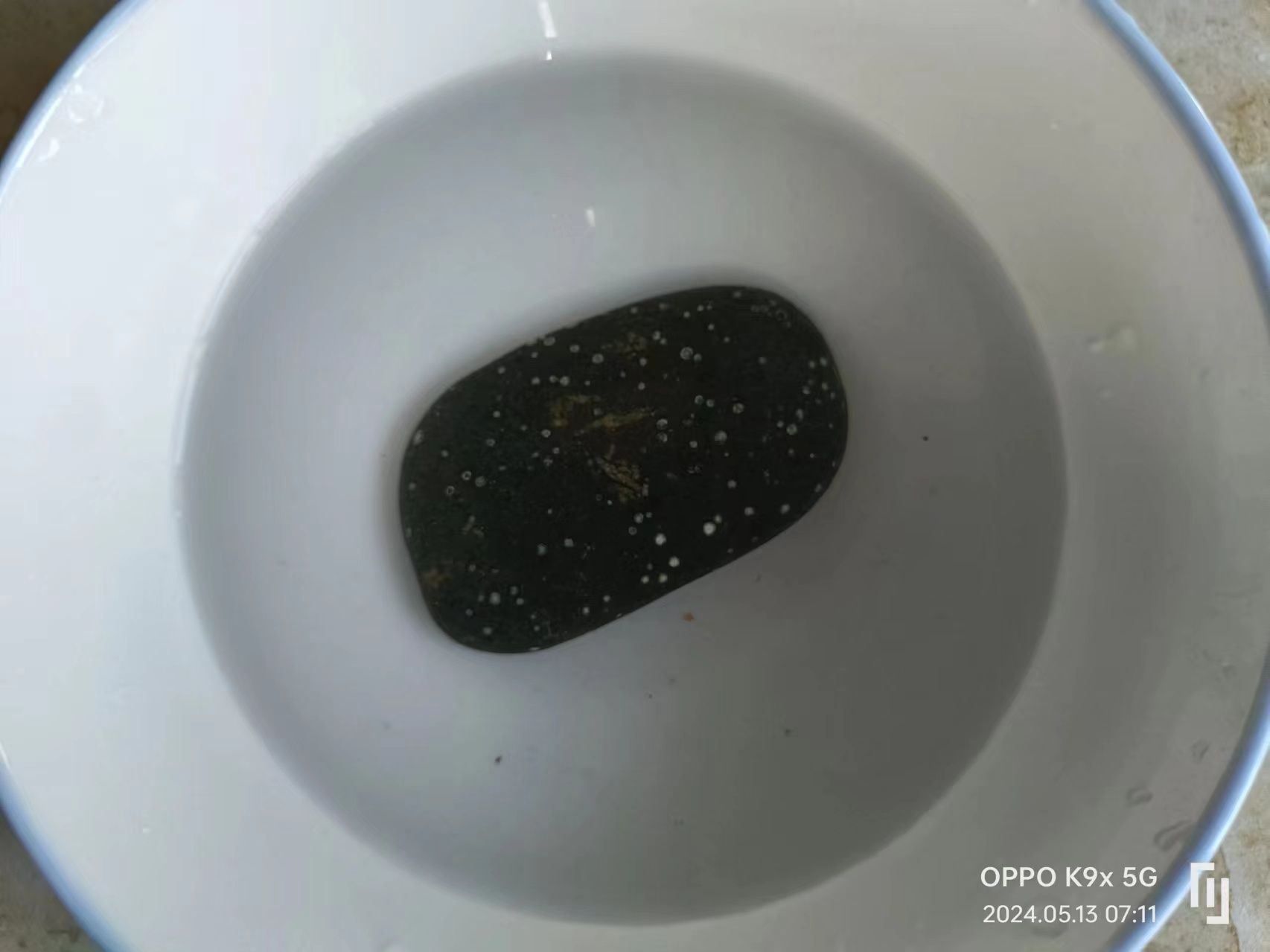 微信图片_20240513094443.jpg