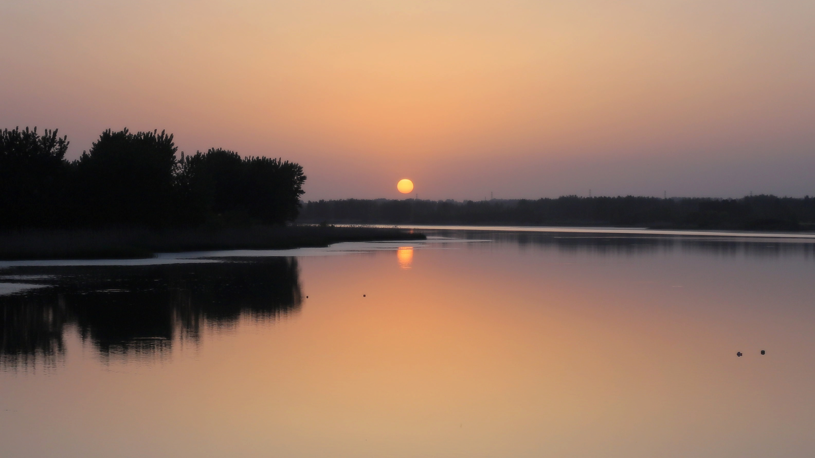 枣林夕阳.jpg
