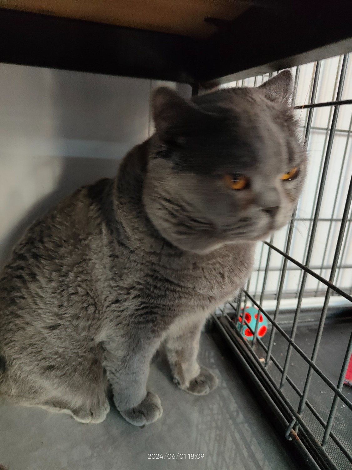 IMG20240601180903.jpg