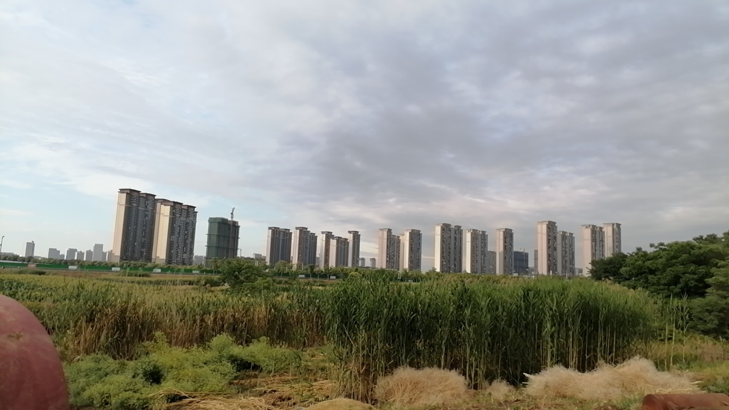 wx_camera_1716798285197.jpg