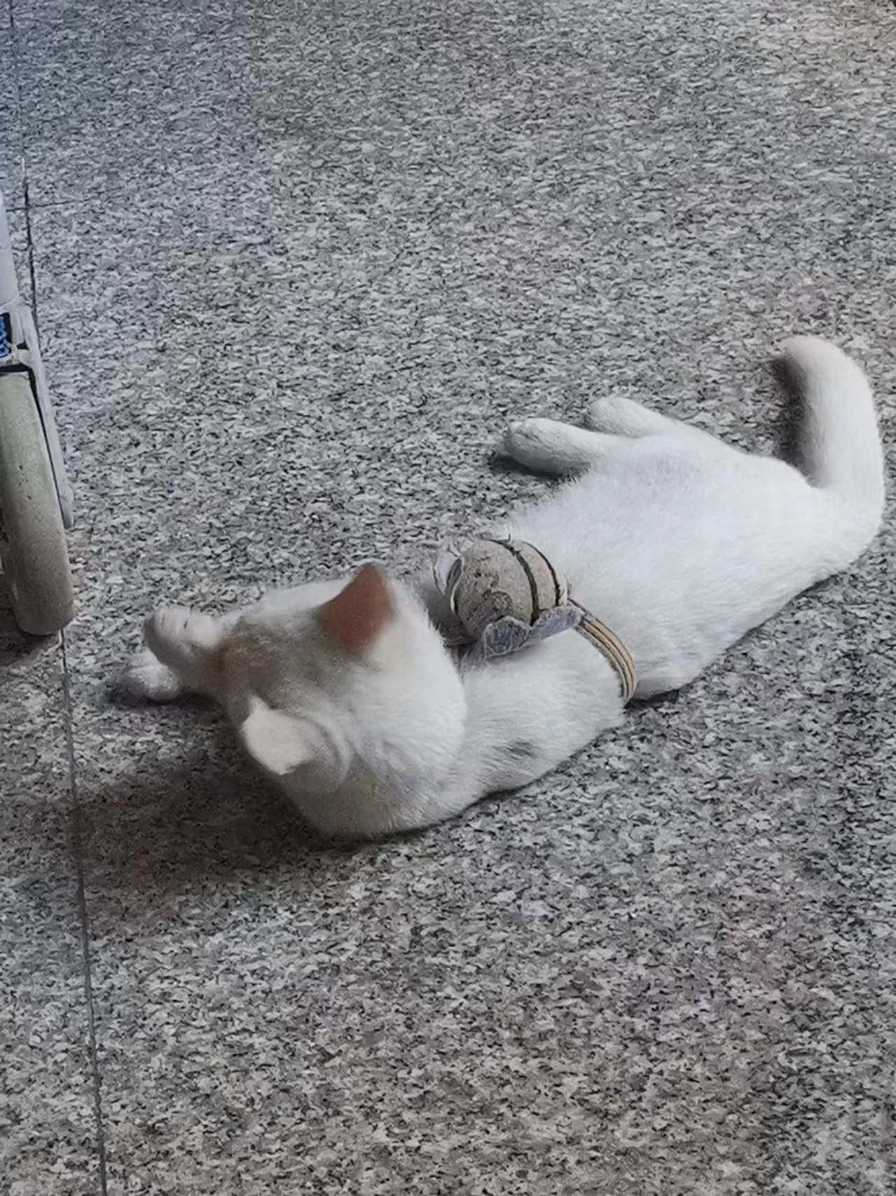 微信图片_20240623143658.jpg