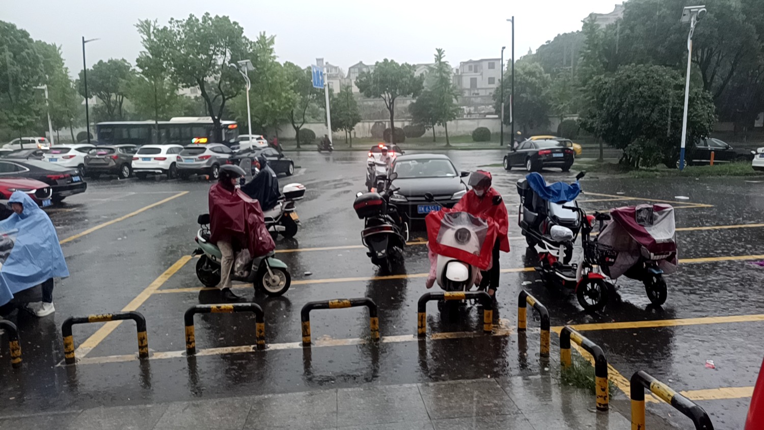 mmexport1719627131882.jpg