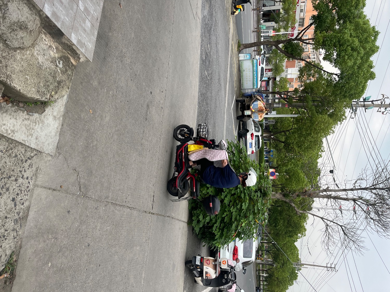 IMG_2817.jpeg