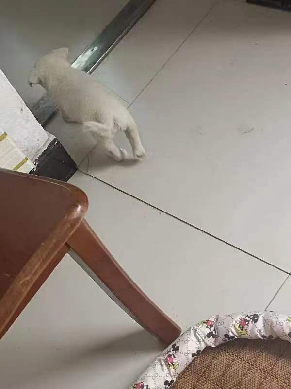 微信图片_20240705091450.jpg