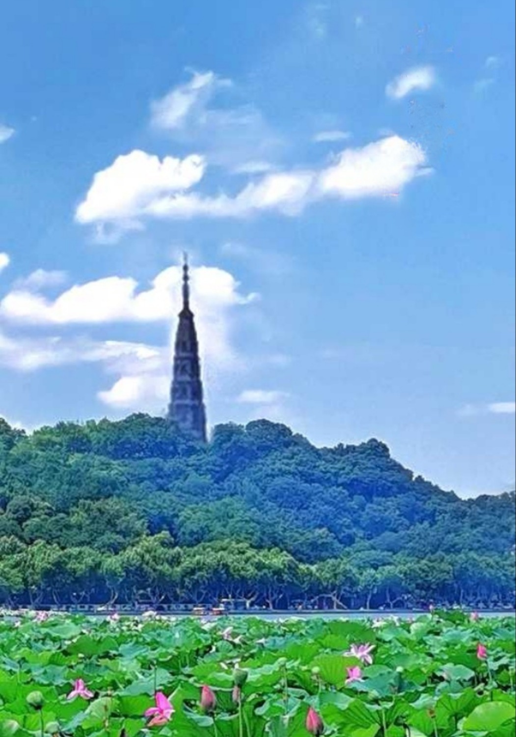 MEITU_20240703_094706241-01_edit_342204335595178.jpg