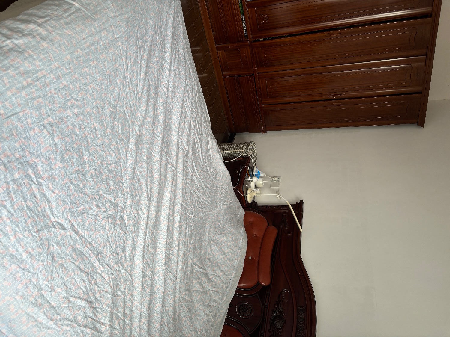 IMG_2870.jpeg