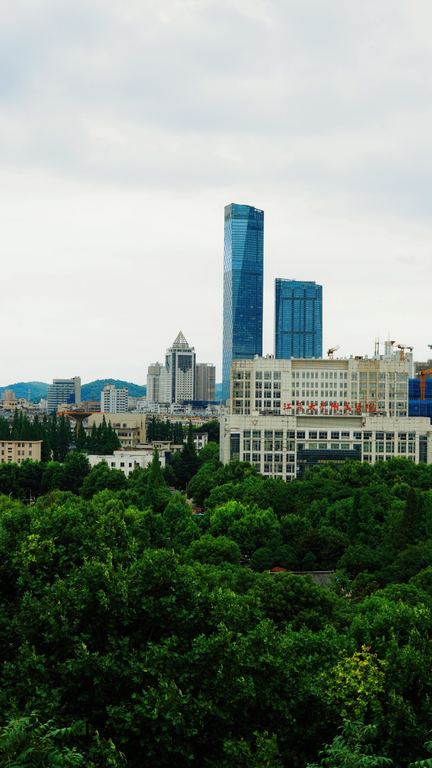 MEITU_20240713_162147607.jpg